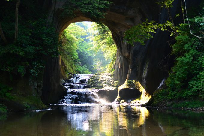 ���l�C�I���A��o�X�c�A�[�����L���O