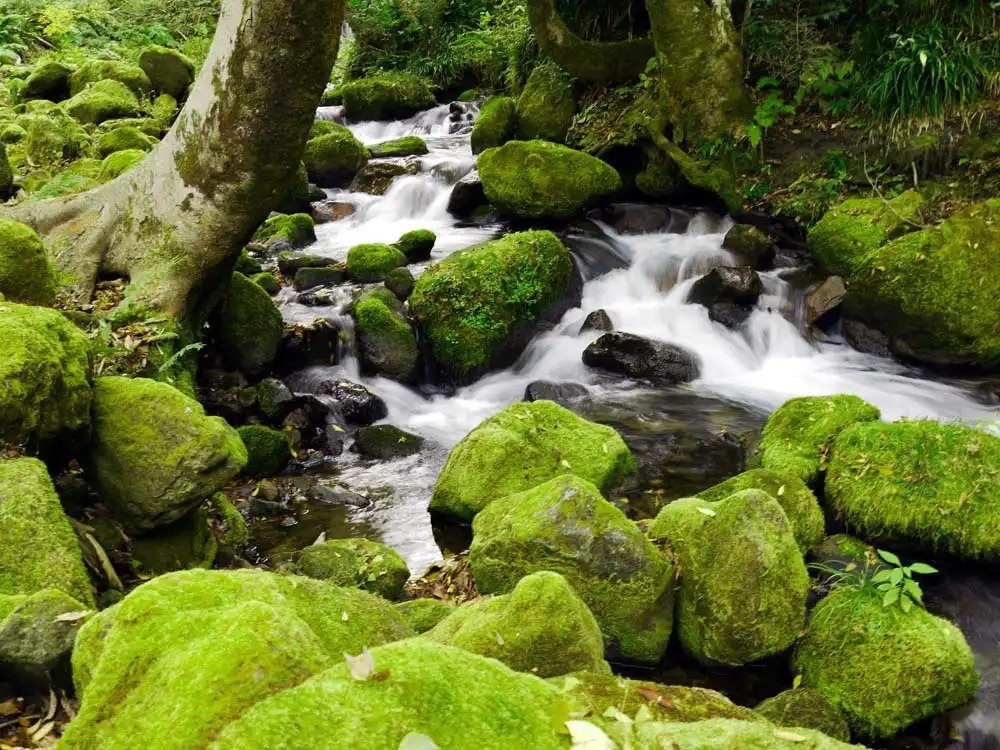 1��2���ő喞�i�I��l�̃h���C�u����