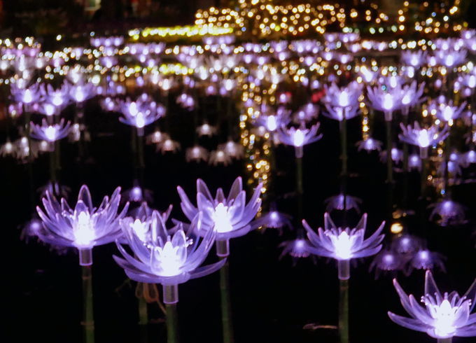 �ɂ�����N���N�n�����[���I���A��ōs����X�|�b�g