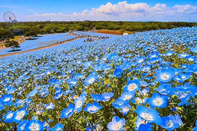 GW�ɍs��������i�X�|�b�g�I