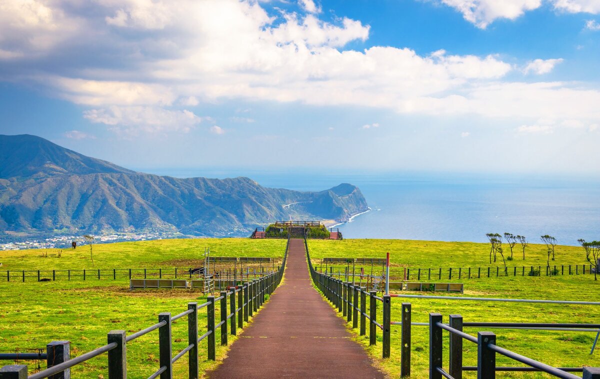 ������݂Ƃ͂����T���i���B�ԕ����������u�𕲃X�|�b�g���s�v�̃X�X���̃T���l�C��