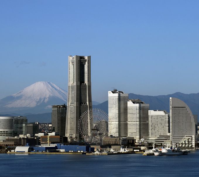 l̂ƂĂqfR[XЉIlό TlC