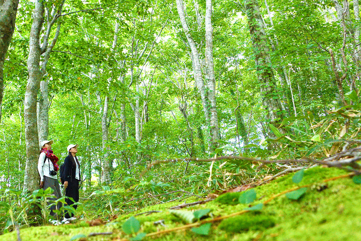 ɂ"Ȃґ"IȎԂ߂闷Ƃ TlC